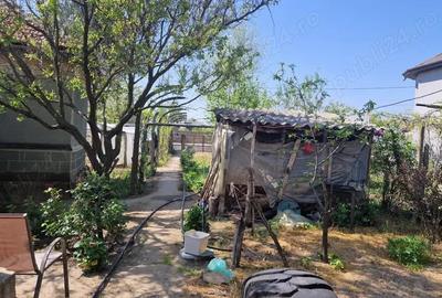 Casă cu 5 camere cu Teren 3937 Mp în Ianca - 10