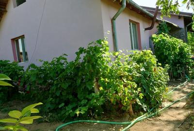 Casă cu 4 camere cu Teren 650 Mp în Bordei - 4