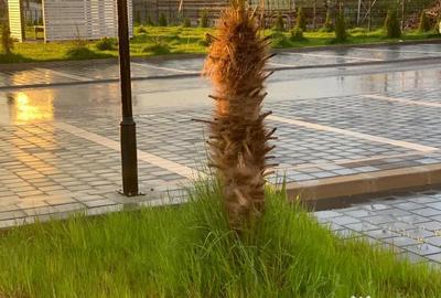 Apartament cu 2 camere decomandat în Dobroești - 11