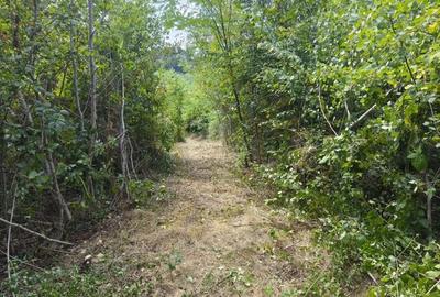 Teren 2552 mp Mosoaia Hintesti -Strada Basangesti - 2