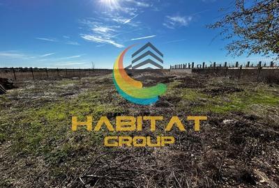 Teren de vanzare intravilan Tunari 750 mp - 3