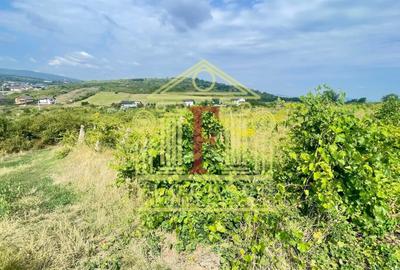 Teren Construcții intravilan de 7500 mp, în Tomești - 3