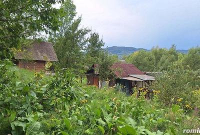 Casă cu 6 camere cu Teren 2700 Mp în Bradu - 15