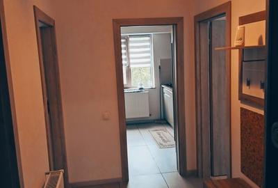 Apartament cu 2 camere decomandat, mobilat în Banat - 8