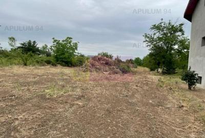 Teren în Domnești - 3
