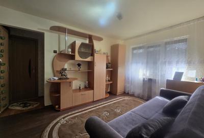 Apartament cu 2 camere semidecomandat în Viziru 2 - 3
