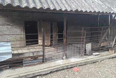 Casă cu 4 camere în Ilia - 4