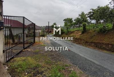 Casă P+1 de vânzare în Cicârlău – zonă superbă, 11 ari teren! - 17