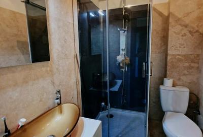 Apartament cu 3 camere decomandat, mobilat în Jiului - 9