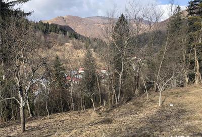 Teren de 5062 mp, în Voineasa - 3