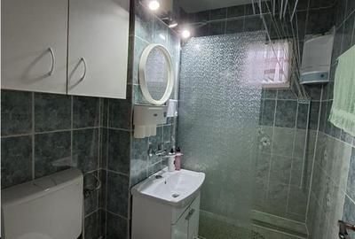 Apartament cu 3 camere decomandat, mobilat în Vasile Aaron - 17