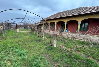 Casă cu 3 camere în Năsturelu - 3