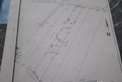 Teren de 2800 mp, în Târgușor - 5