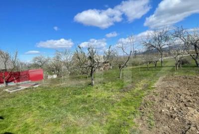 Casă cu 3 camere cu Teren 3000 Mp în Central - 7