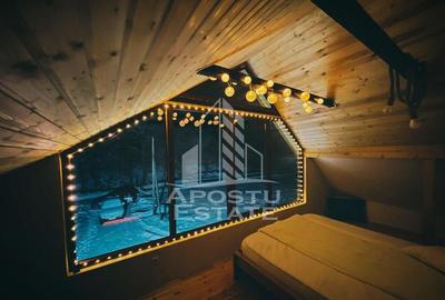 Cabana de inchiriat in Apuseni, Ciubar, Fara vecini, Fois... - 7