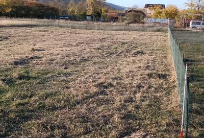 Teren intravilan 725mp deal - munte - 7