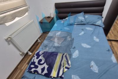 Apartament cu 3 camere decomandat, mobilat în Parcul Carol - 15