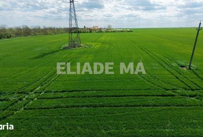 Teren de 5000 mp, în Central - 3