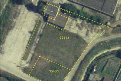 Teren de 4365 mp, în Drăguțești - 7