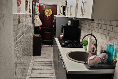 Apartament cu 2 camere nedecomandat în Boul Roșu