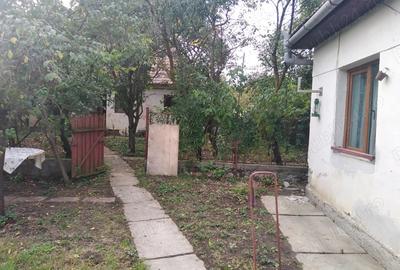 Casă cu 4 camere în Abuș - 6