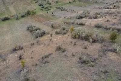 Teren extravilan Perieni, cota parte 6/16 , ID: R2822105 - 7