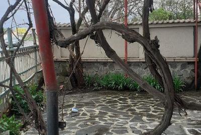 Spațiu comercial, de 300 mp, în Stupini - 4