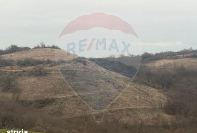 Teren de 18800 mp, în Vințu de Jos - 3