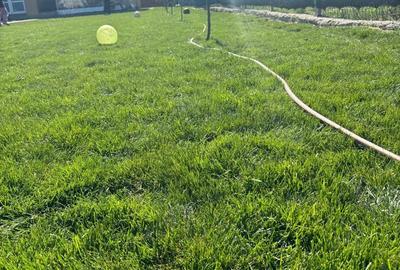 Casă cu 8 camere cu Teren 1000 Mp în Grădiștea - 6