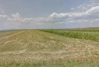 Teren extravilan cota parte 1/3 Cernatesti , ID: R2586146 - 5