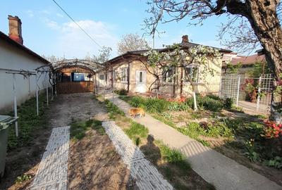 Casă cu 3 camere cu Teren 2250 Mp în Sintești - 5