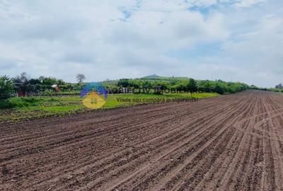 Teren agricol intravilan de 12300 mp, în Cârligi - 3