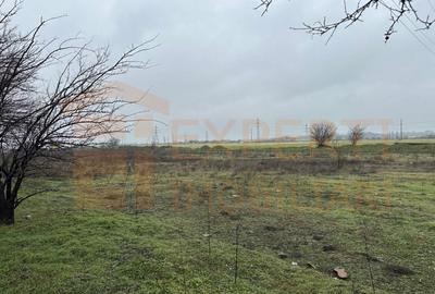 Teren Construcții extravilan de 21200 mp, în Lumina - 1