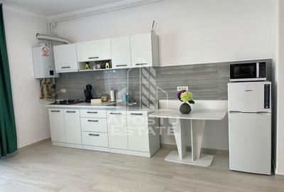 Apartament cu 1 camera mobilat si utilat in Giroc la asfalt. - 3