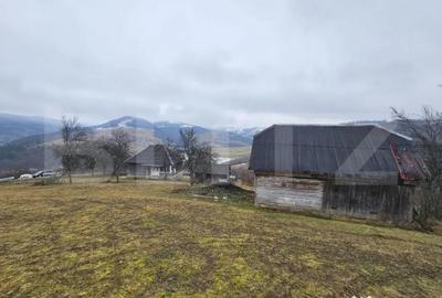 Casă cu 3 camere cu Teren 7297 Mp în Dăroaia - 3