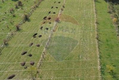 Teren de vanzare in Leresti - ideal pentru casa sau pensiune la munte - 1