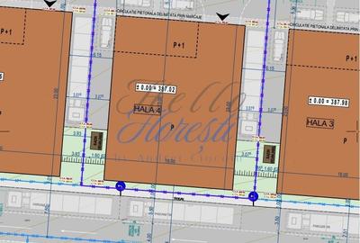 Proiect 10 hale de inchirat in Floresti! FINALIZARE 2025 - 3