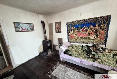 Casă individuală cu 1 camere cu Teren 3909 Mp în Șilea - 4