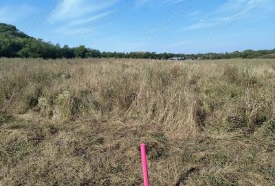 Teren de 7500 mp, în Băicoi - 5