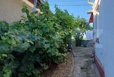 Casa renovabila, 2 camere, zona Cetate - 12