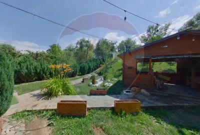 Casa / Vila cu 4 camere de vanzare - 4