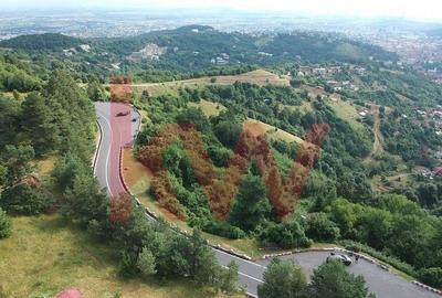 Teren cu priveliste superba si deschidere la drumul de Poiana Brasov - 8