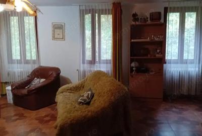 Casa de vacanta Crivaia, langa Valiug locatie idilica, ideala pentru timp liber - 18