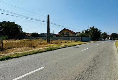 Teren de 1989 mp, în Șagului