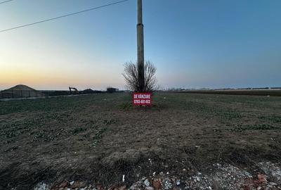 Spațiu comercial, în Vârteju - 1