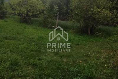 Casă cu 2 camere cu Teren 1032 Mp în Meteș - 4