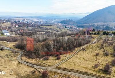 Spațiu comercial, în Cisnădioara - 5