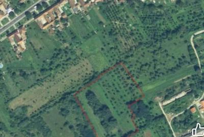 Teren de 13000 mp, în Glimboca - 1
