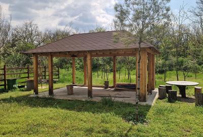 Spațiu comercial, în Central - 5