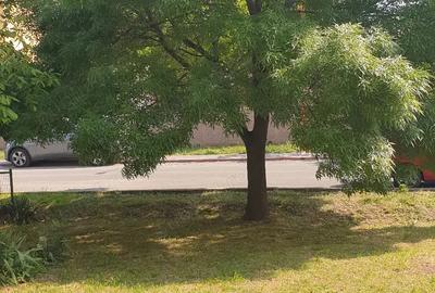 Apartament cu 3 camere semidecomandat în Faleza Nord - 3